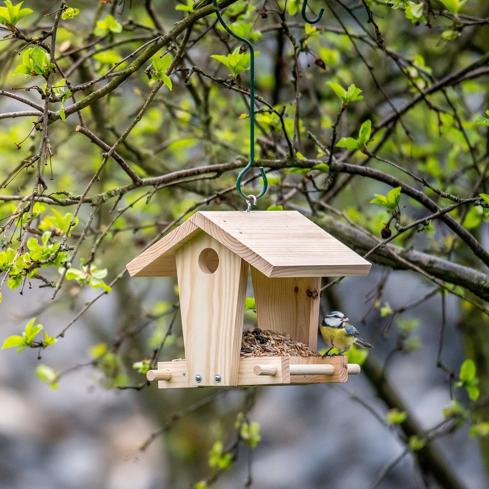 National Trust Kids Build-Your-Own Jinto Feeding House Kit