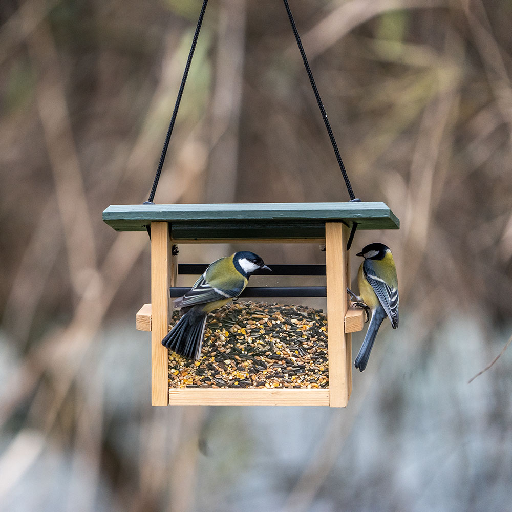 Futterhaus „Eindhoven“ für kleine Vögel, zum Aufhängen