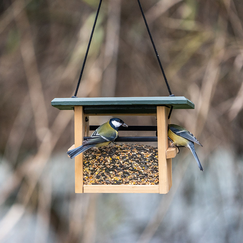 Futterhaus „Eindhoven“ für kleine Vögel, zum Aufhängen