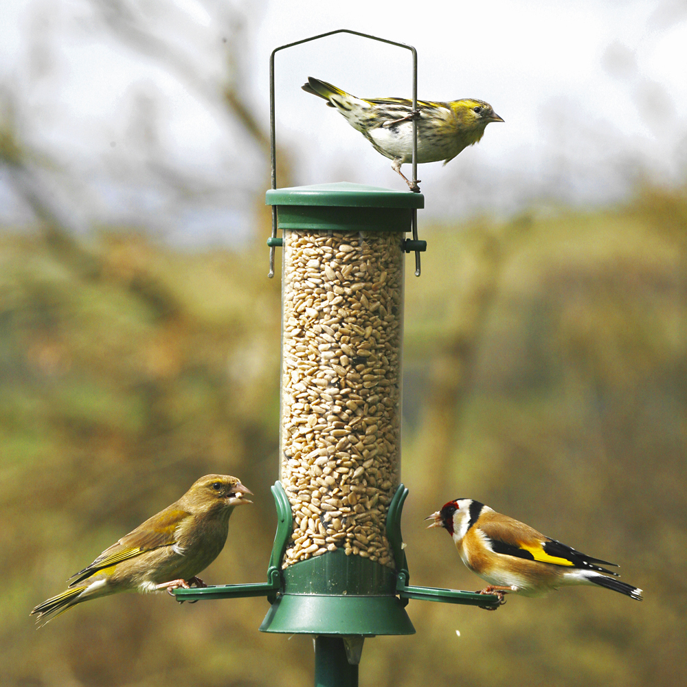 Challenger 2 Port Plastic Bird Seed Feeder