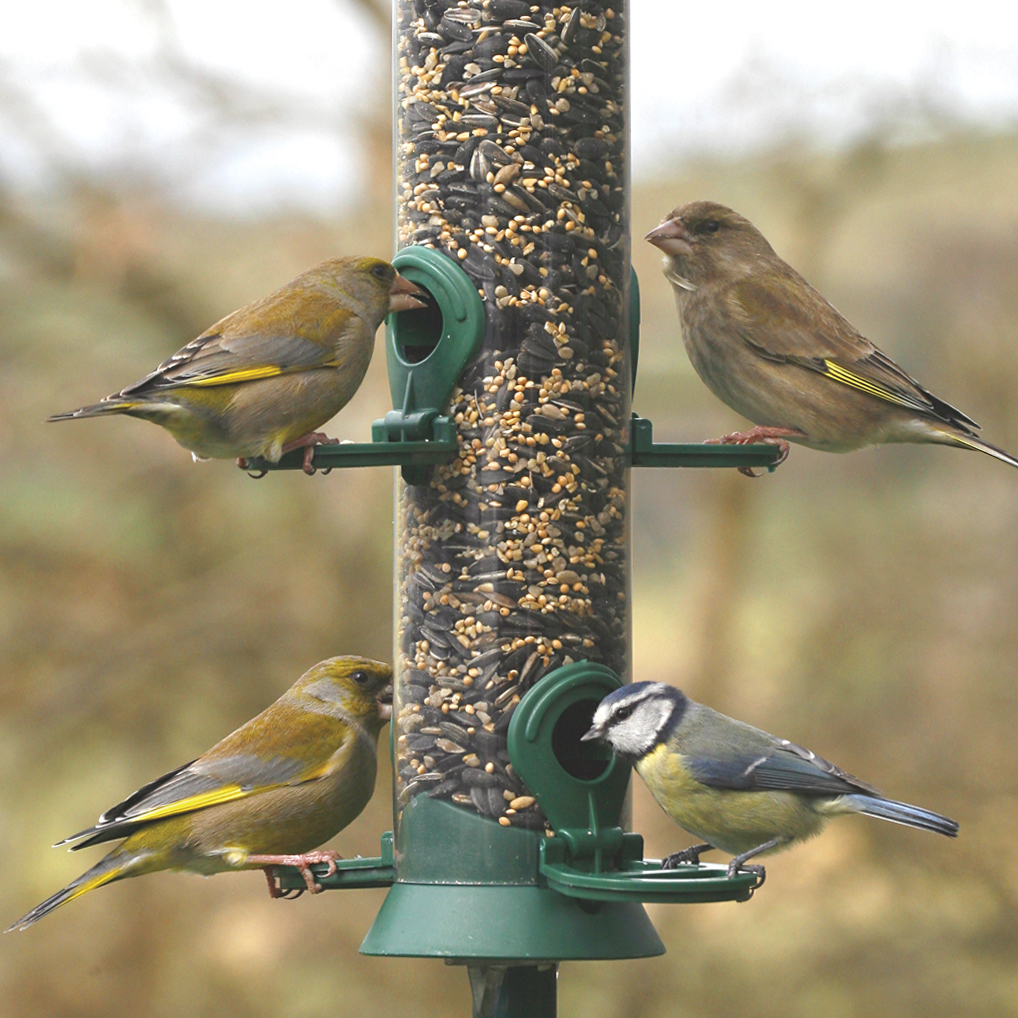 Green Challenger 4 port Seed Feeder