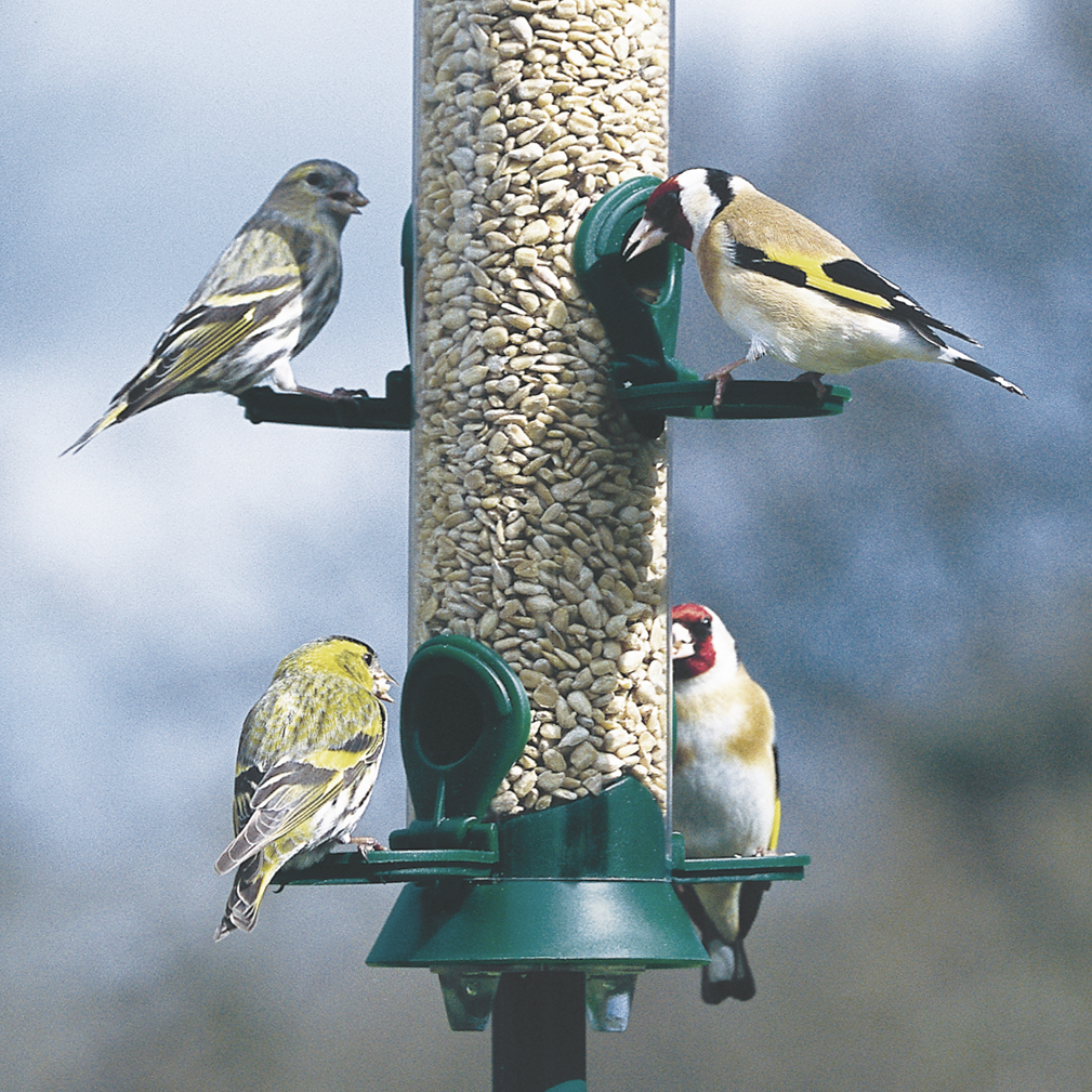 Green Challenger 4 port Seed Feeder