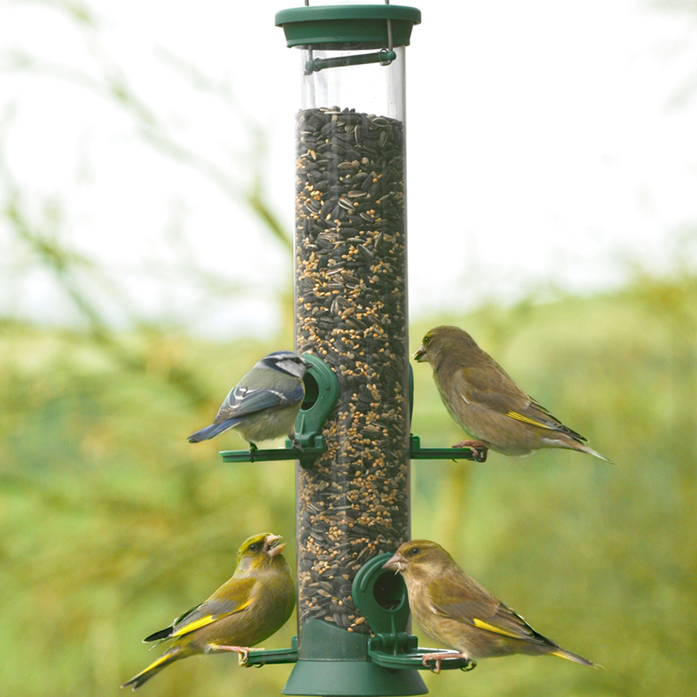 Green Challenger 4 port Seed Feeder