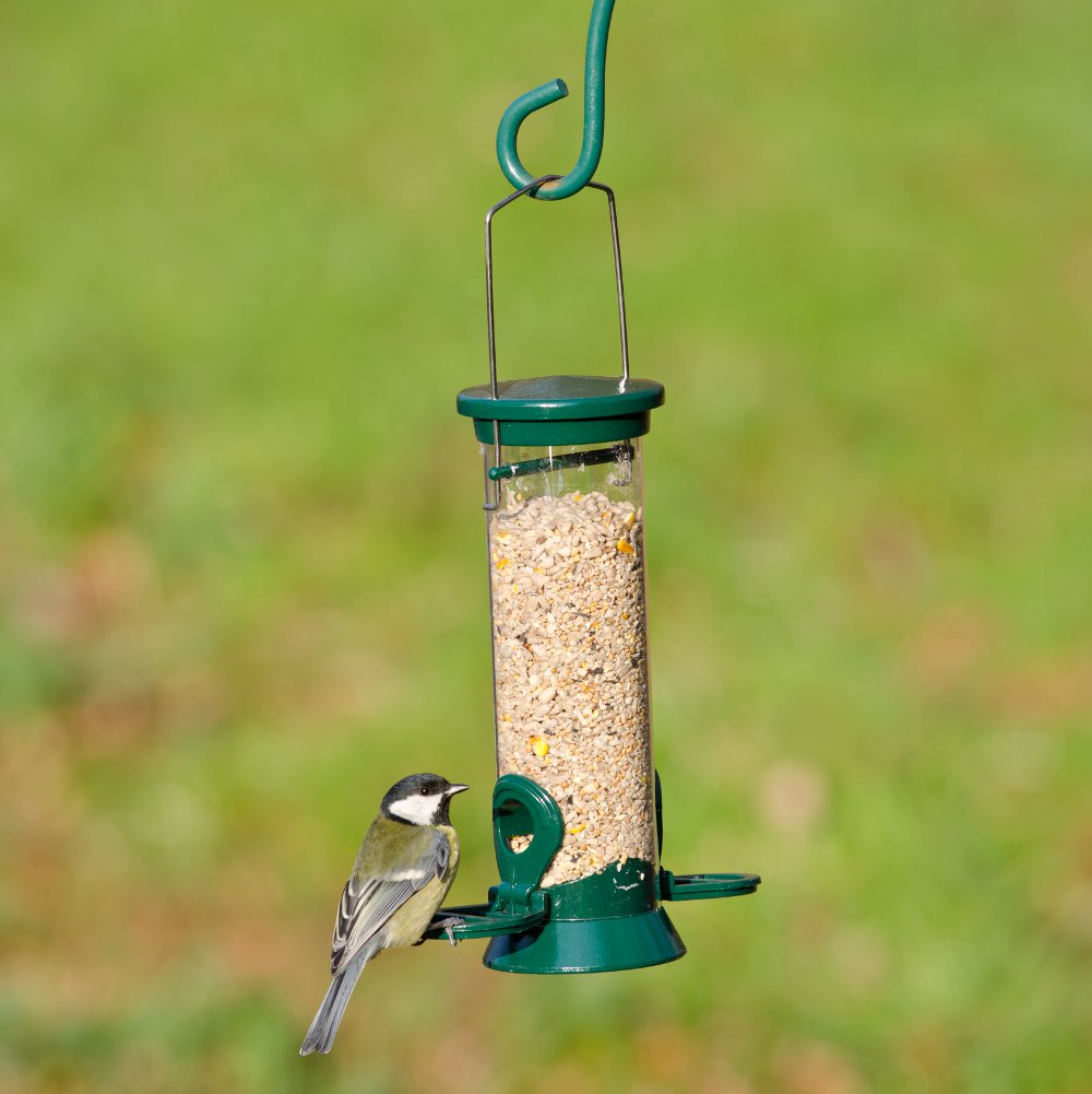 Green Defender 2 port Bird Feeder