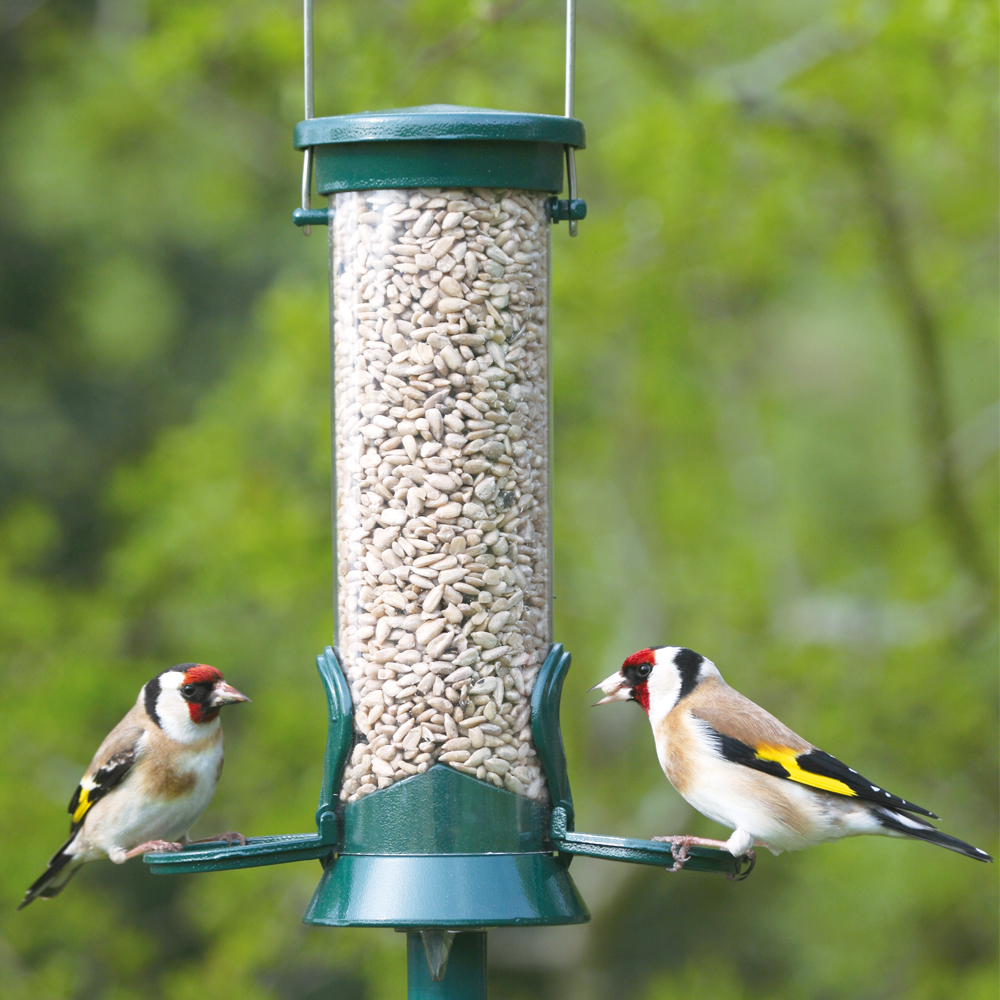 National Trust 2 Port Metal Seed Feeder