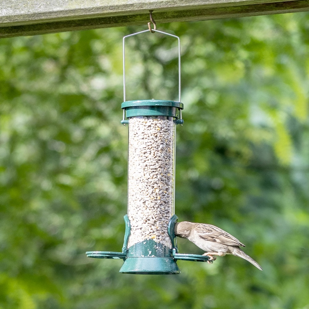 National Trust Defender Metal Seed Feeder