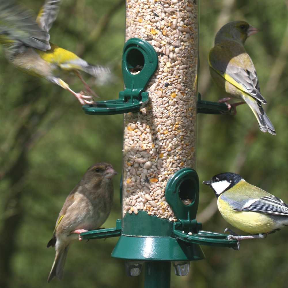 National Trust 4 Port Metal Seed Feeder