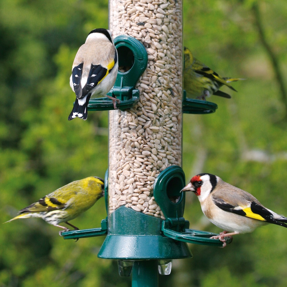 National Trust 4 Port Metal Seed Feeder