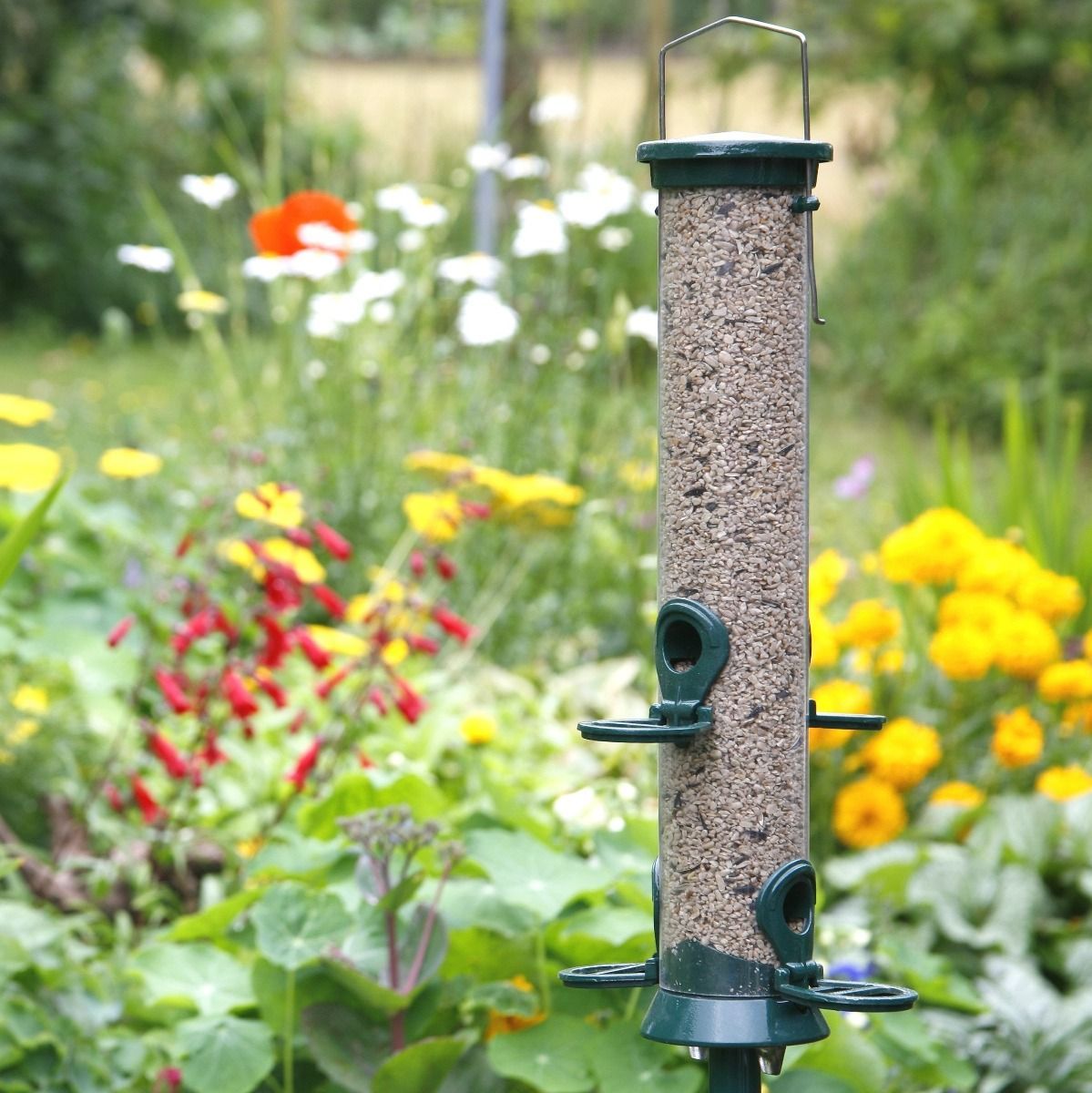 National Trust 4 Port Metal Bird Seed Feeder Defender