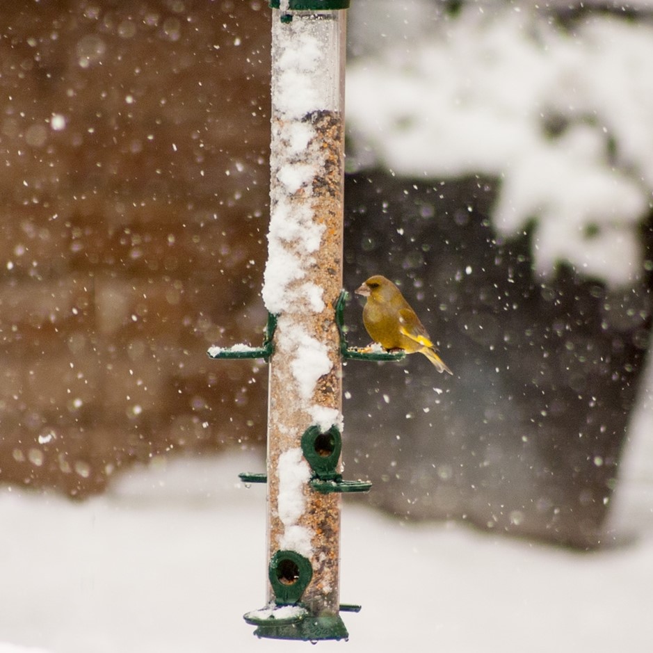 Defender 6 Port Metal Seed Feeder