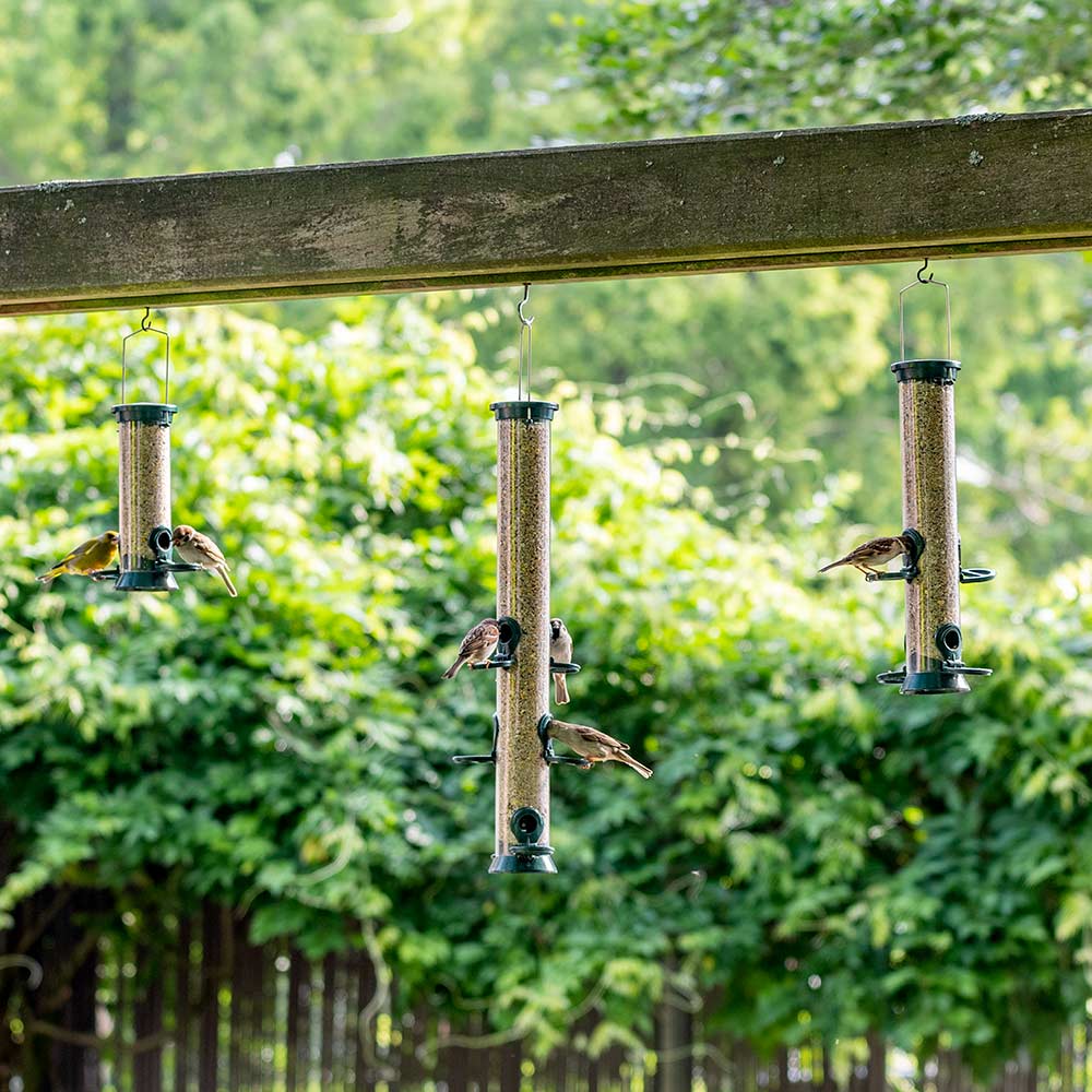 6 Port Metal Bird Seed Feeder Defender