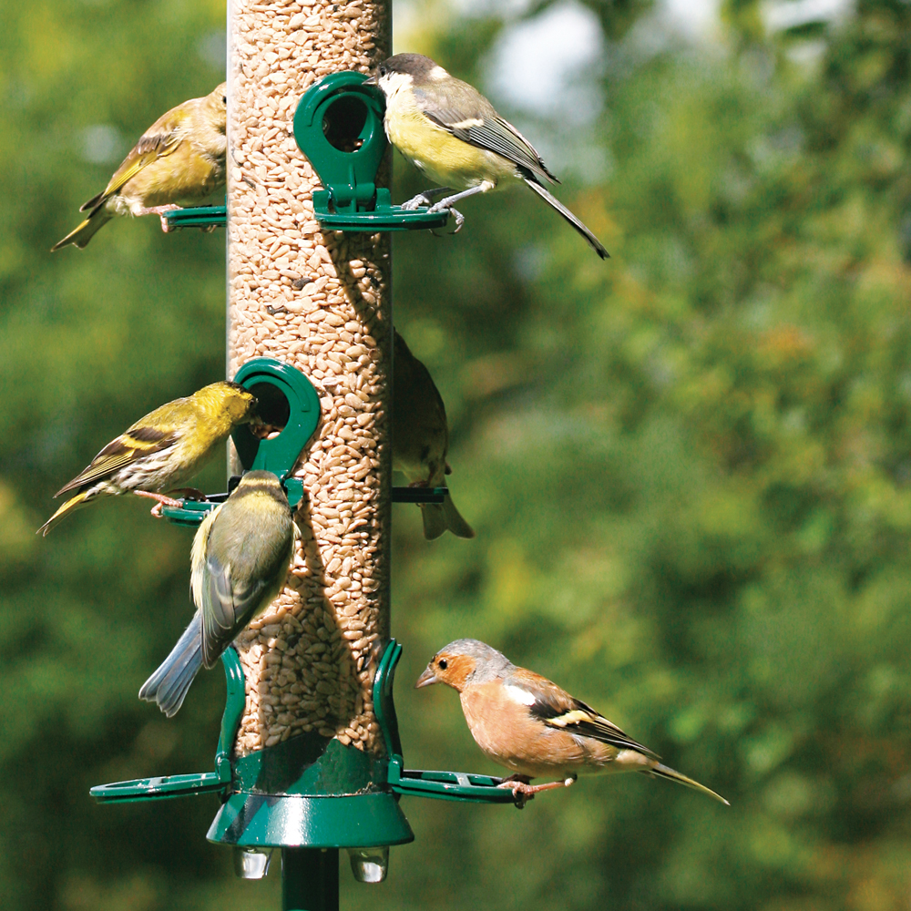 Defender 6 Port Metal Seed Feeder