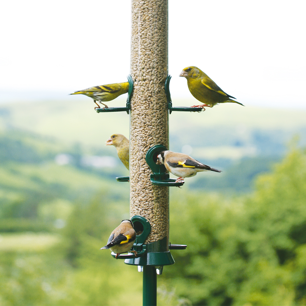 Defender 6 Port Metal Seed Feeder