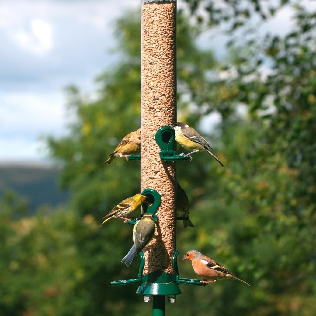 Defender 6 Port Metal Seed Feeder