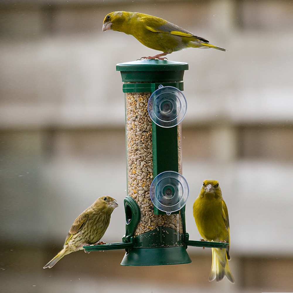 Window Seed Feeder In Green