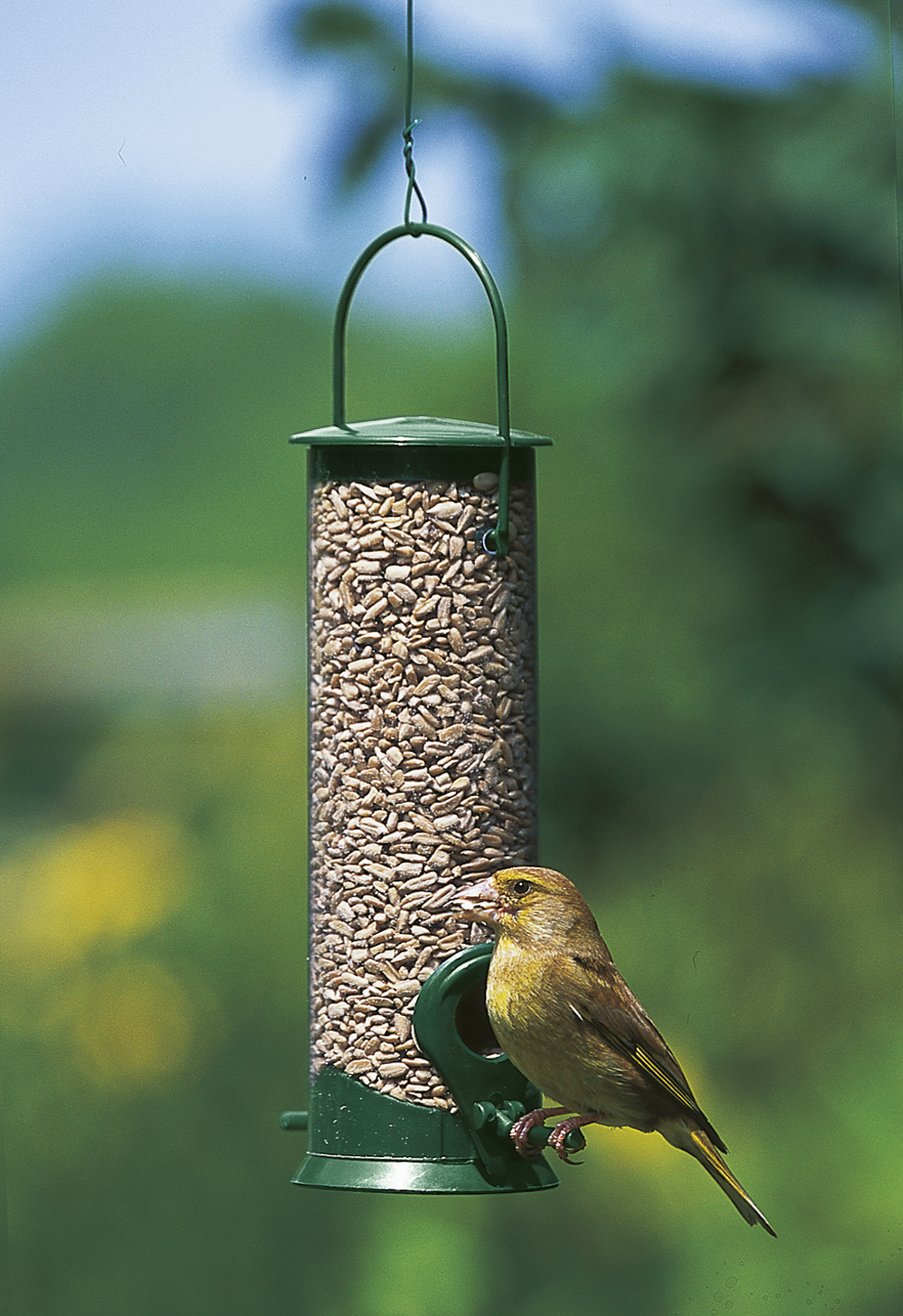 Discovery Plastic Hanging Bird Seed Feeder