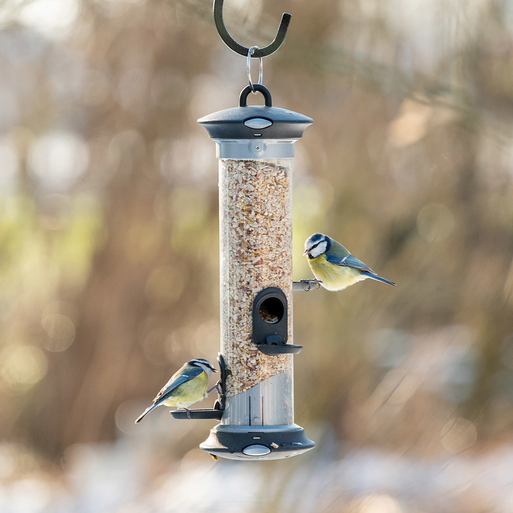 Apollo 3 Port Seed Feeder