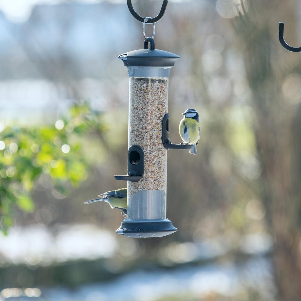 Apollo 3 Port Seed Feeder