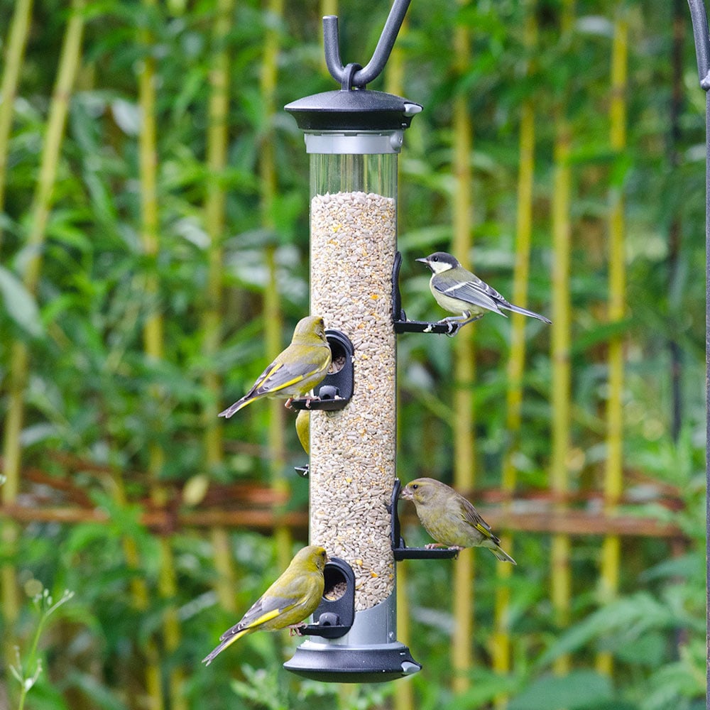 Apollo 5 Port Seed Feeder