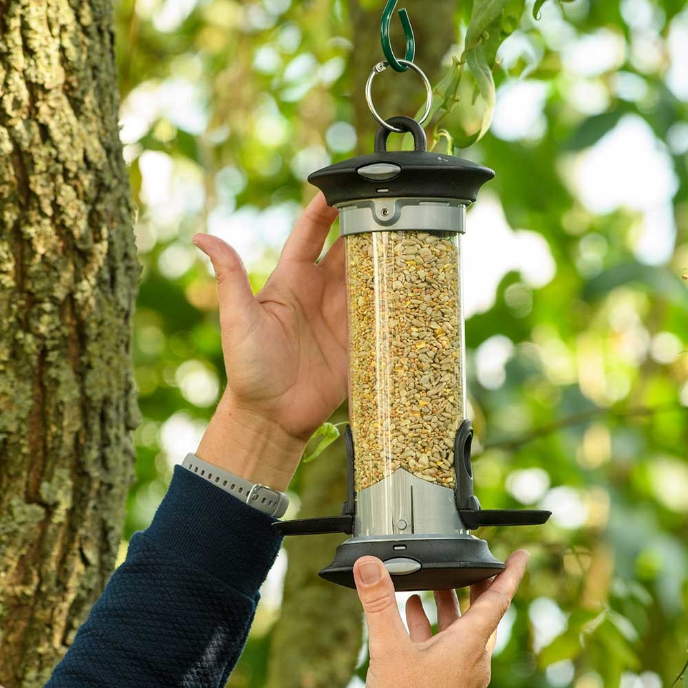 Apollo Bird Seed Feeder Range