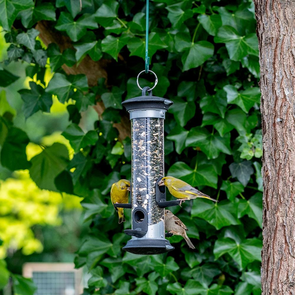 National Trust Apollo 4 Port Seed Feeder