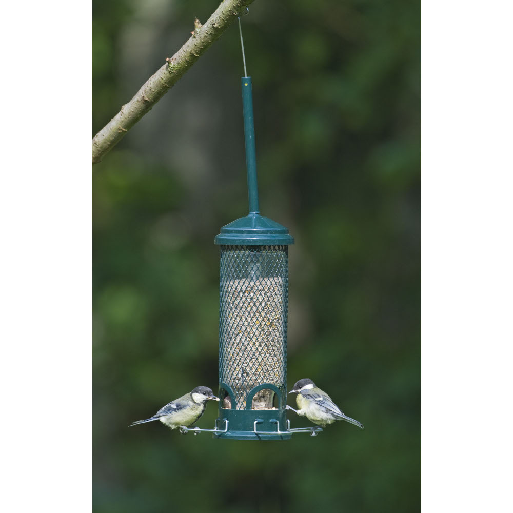 Squirrel Buster Mini Seed Feeder 600ml