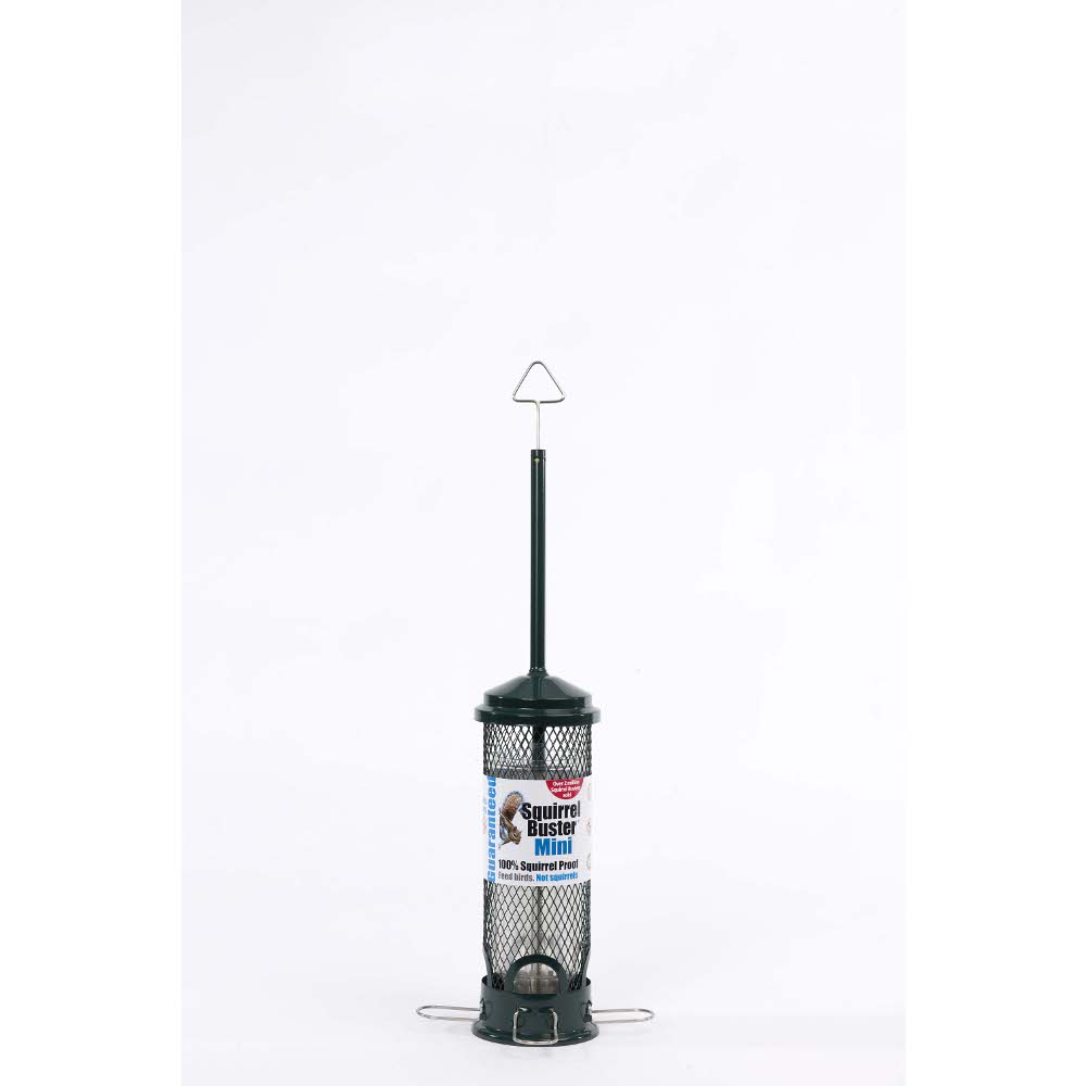 Squirrel Buster Mini Seed Feeder 600ml