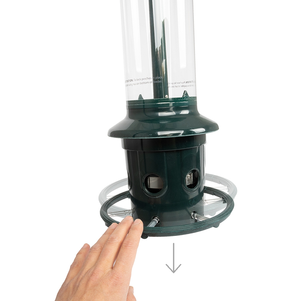 Squirrel Buster PLUS Seed Feeder 3l