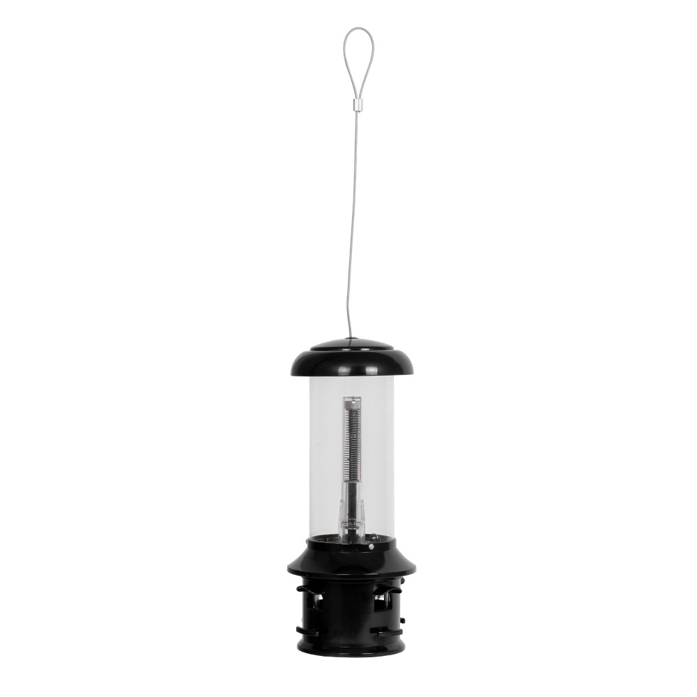 Seed Feeder for Small Birds