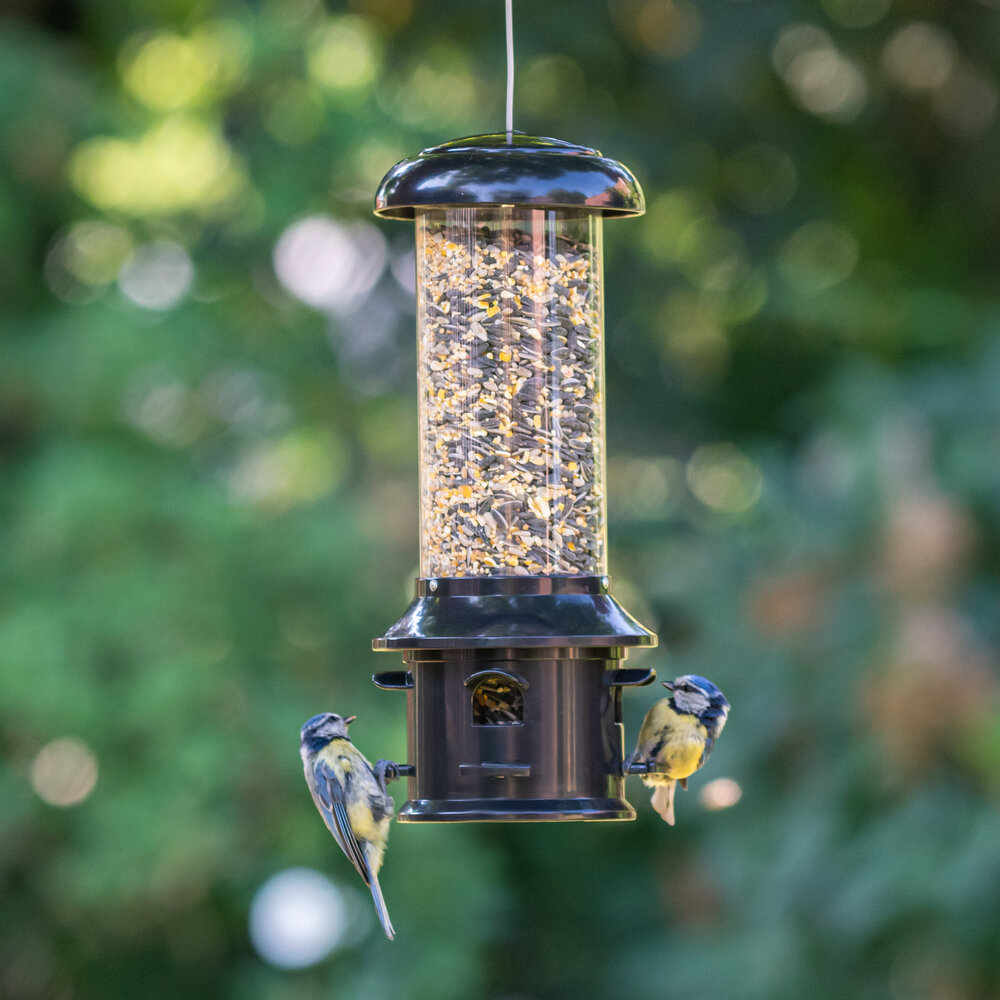 Seed Feeder for Small Birds