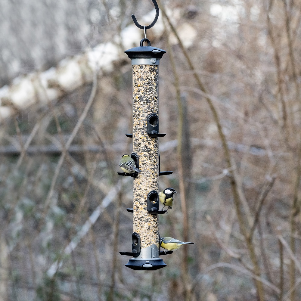 Apollo 8 Port Seed Feeder