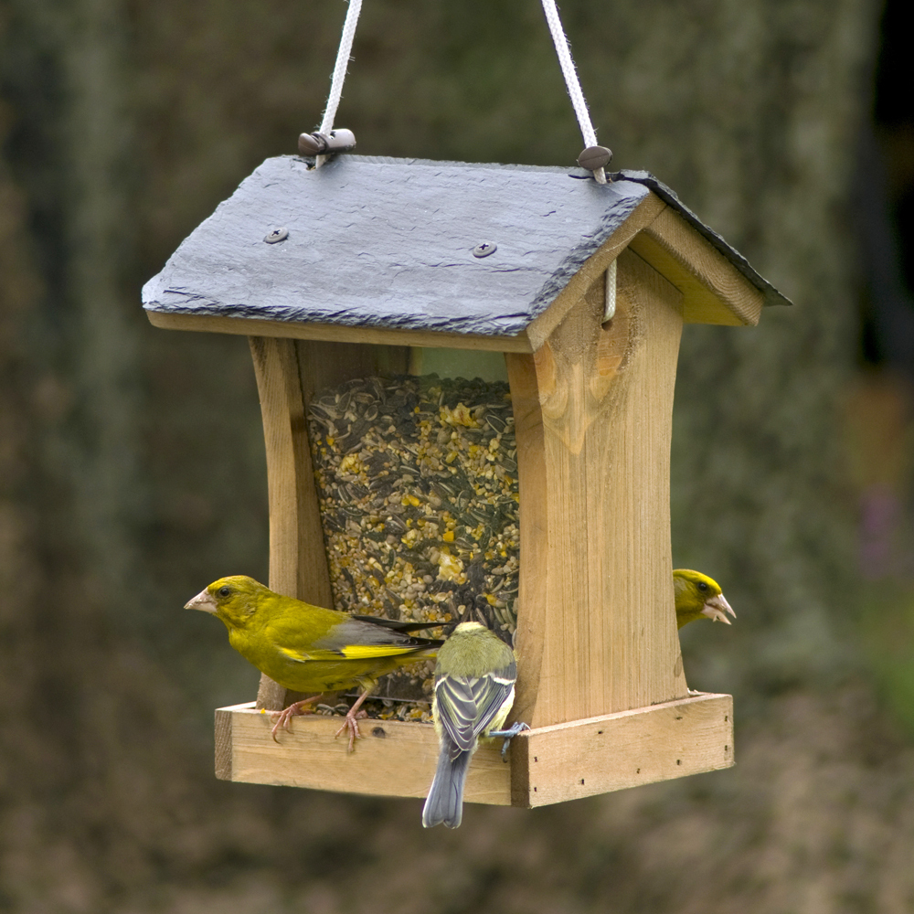 Mercury Slate Seed Feeder