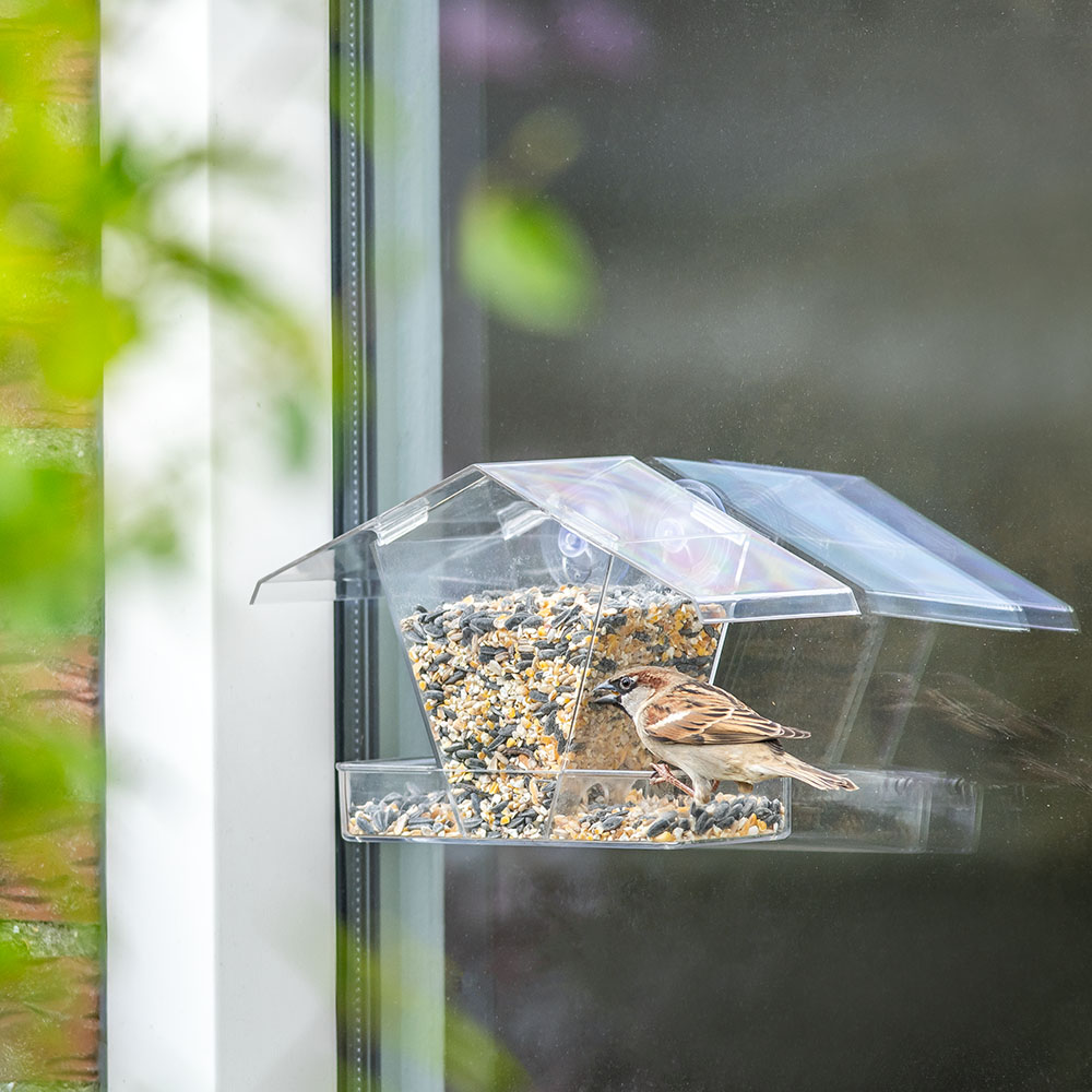 Crete Window Bird Feeder