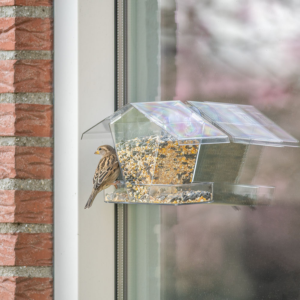 Crete Window Bird Feeder