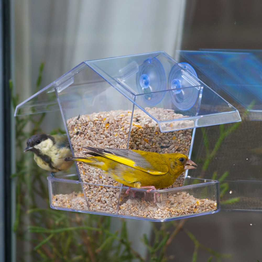 National Trust Crete Window Feeder