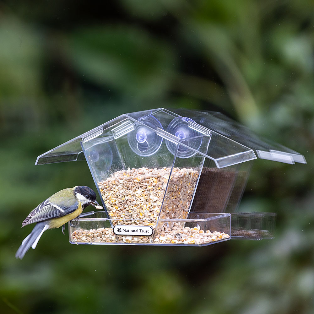National Trust Window Bird Feeder Crete