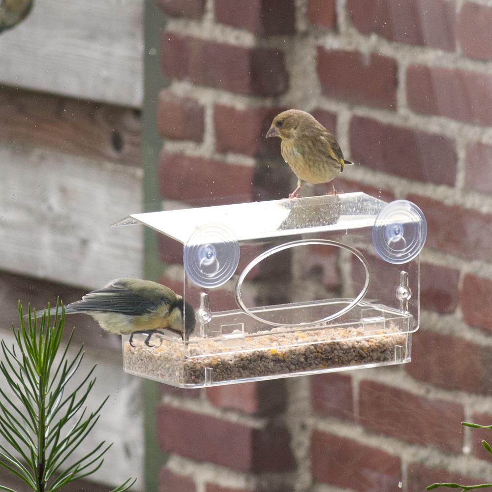 The Rhodes Window Feeder