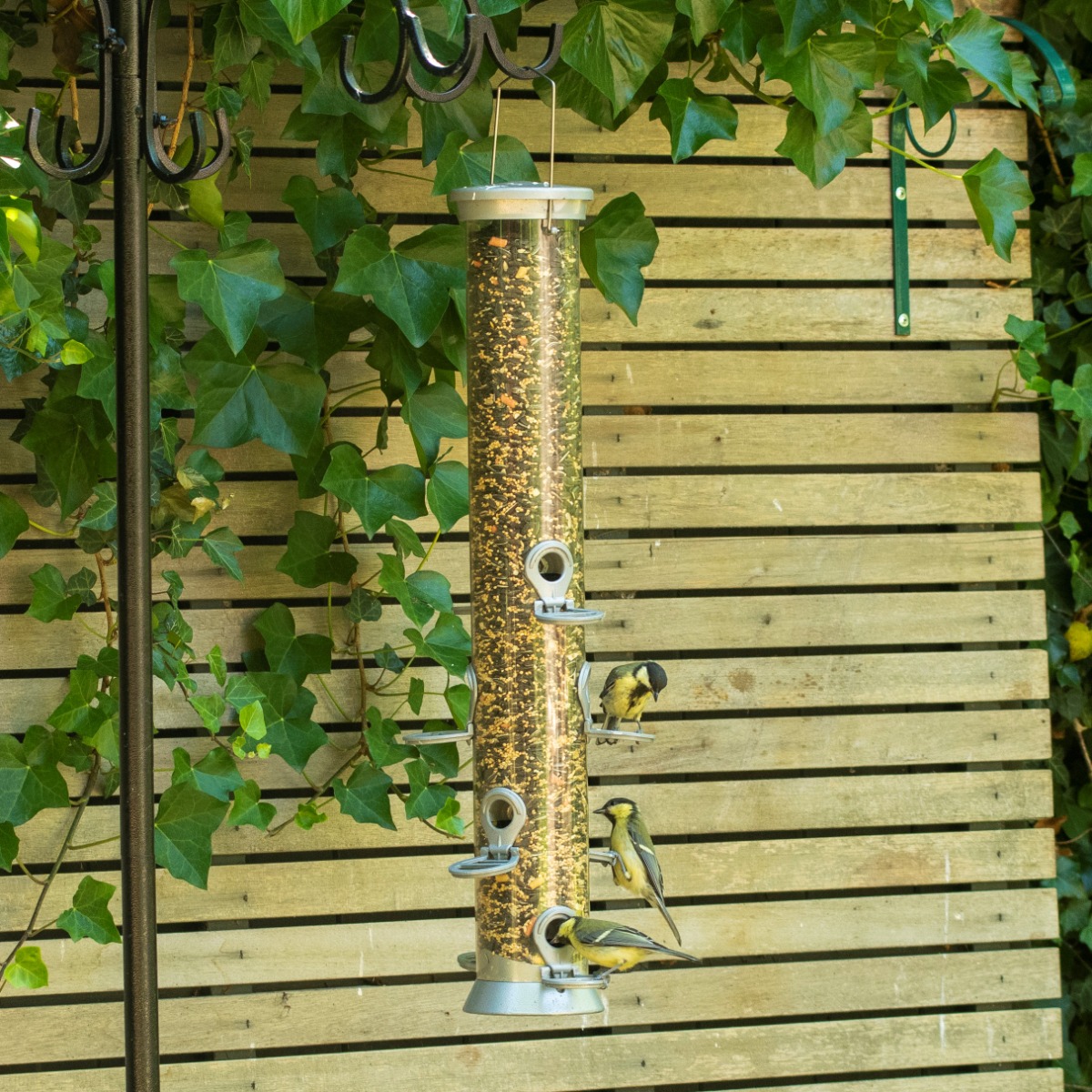 Extra Large Bird Seed Feeder Range