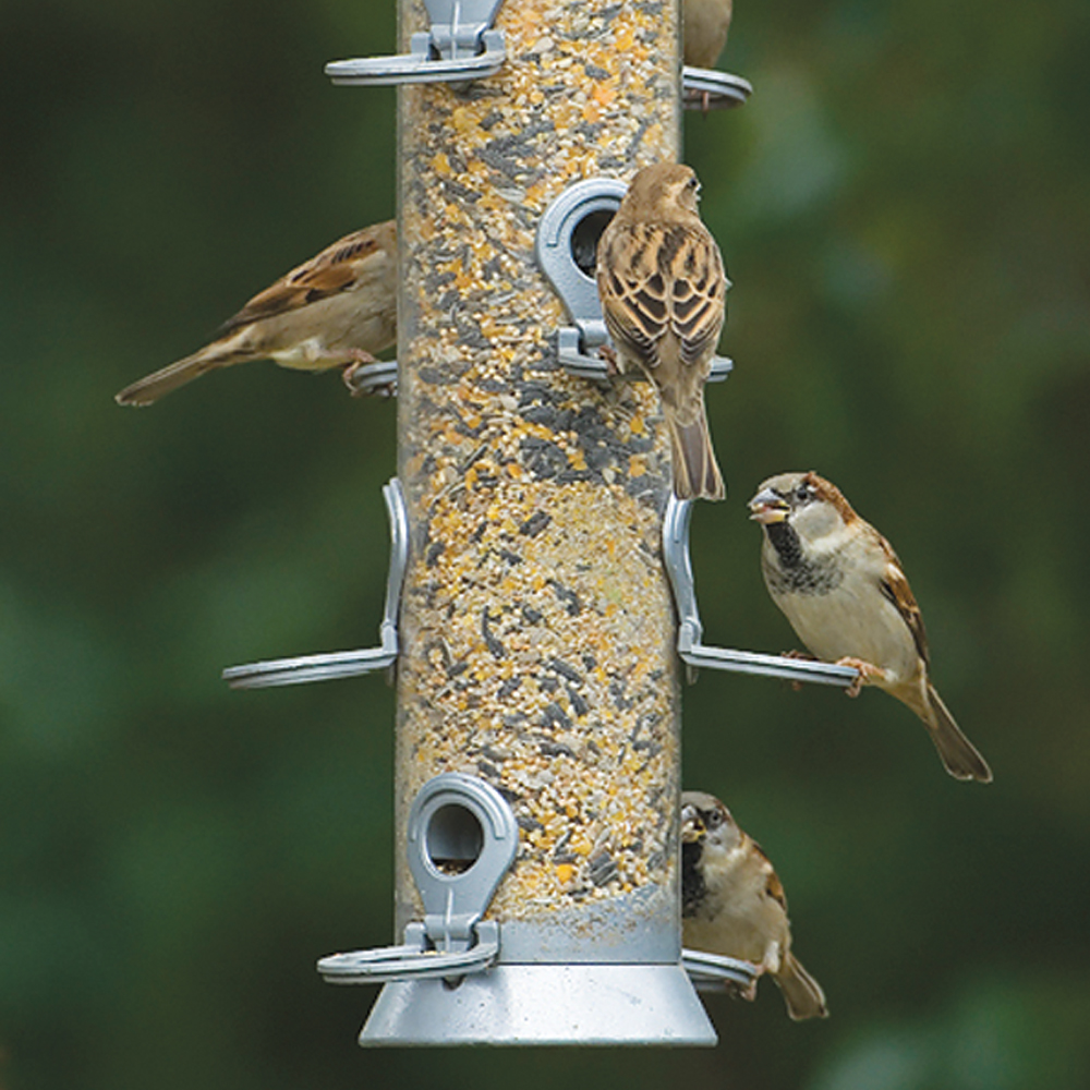 Conqueror XXL 10 port Seed Feeder