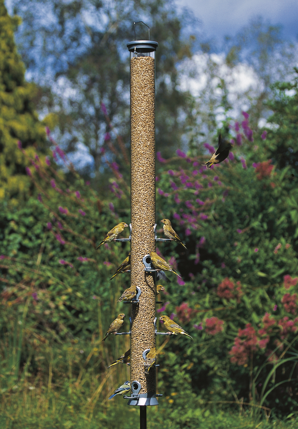 Conqueror 12 port Seed Feeder 