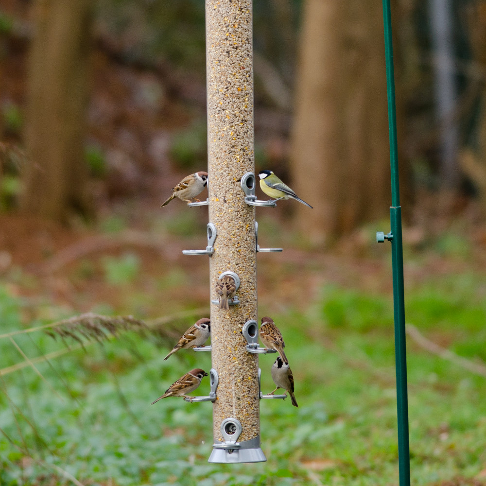 Conqueror 12 port Seed Feeder 