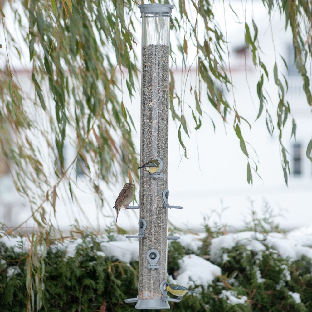 Conqueror 12 port Seed Feeder 