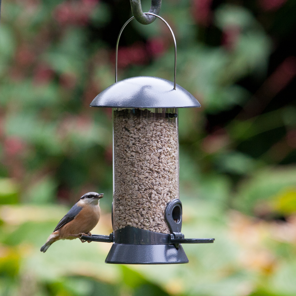 Adventurer 2 Port Seed Feeder