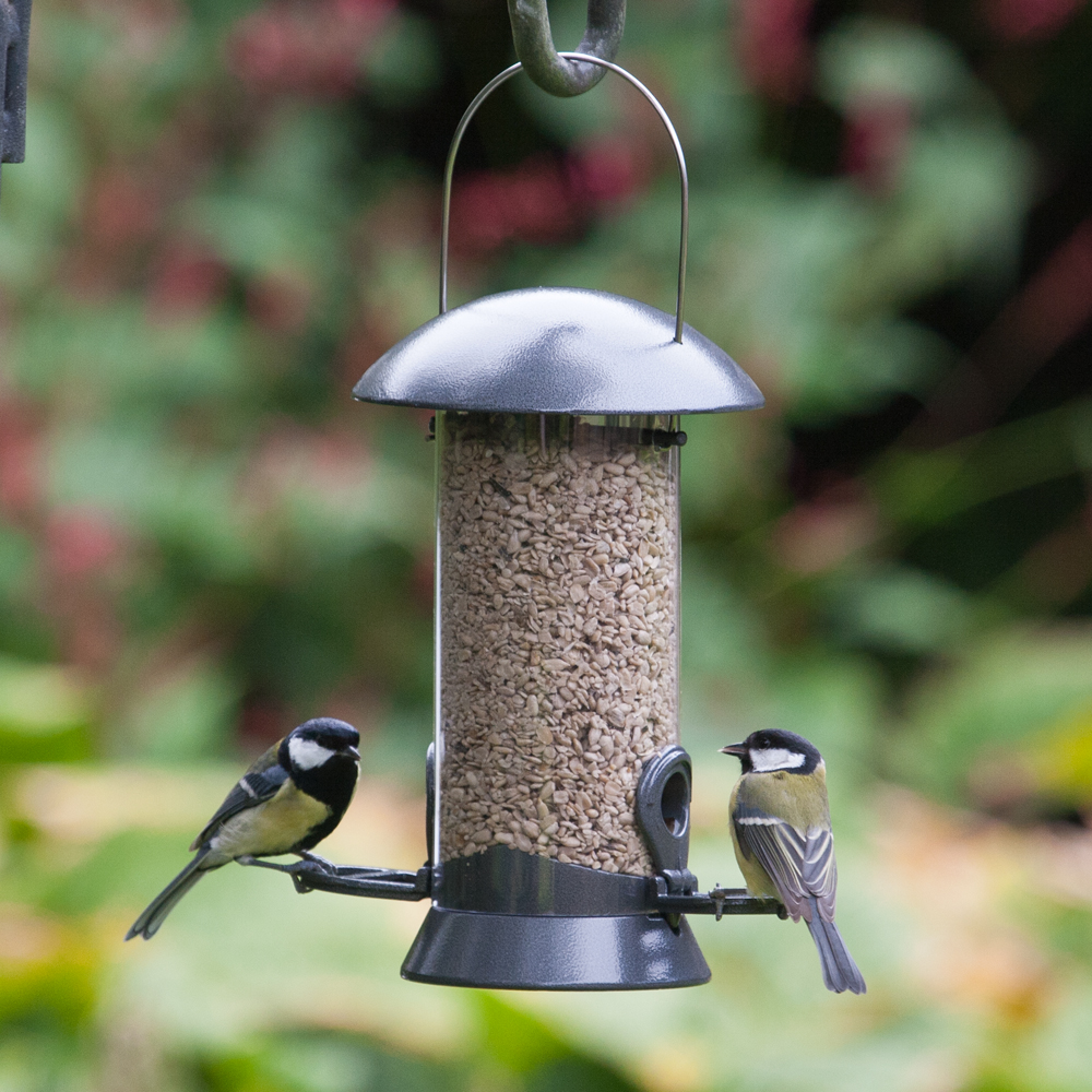 Adventurer Metal Seed Feeder