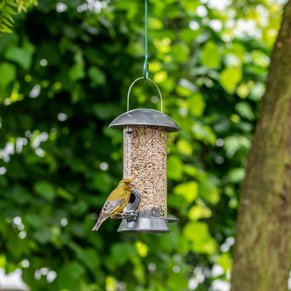 Maximum 24 - Futtersäule / Hängesilo für Vögel (24cm)