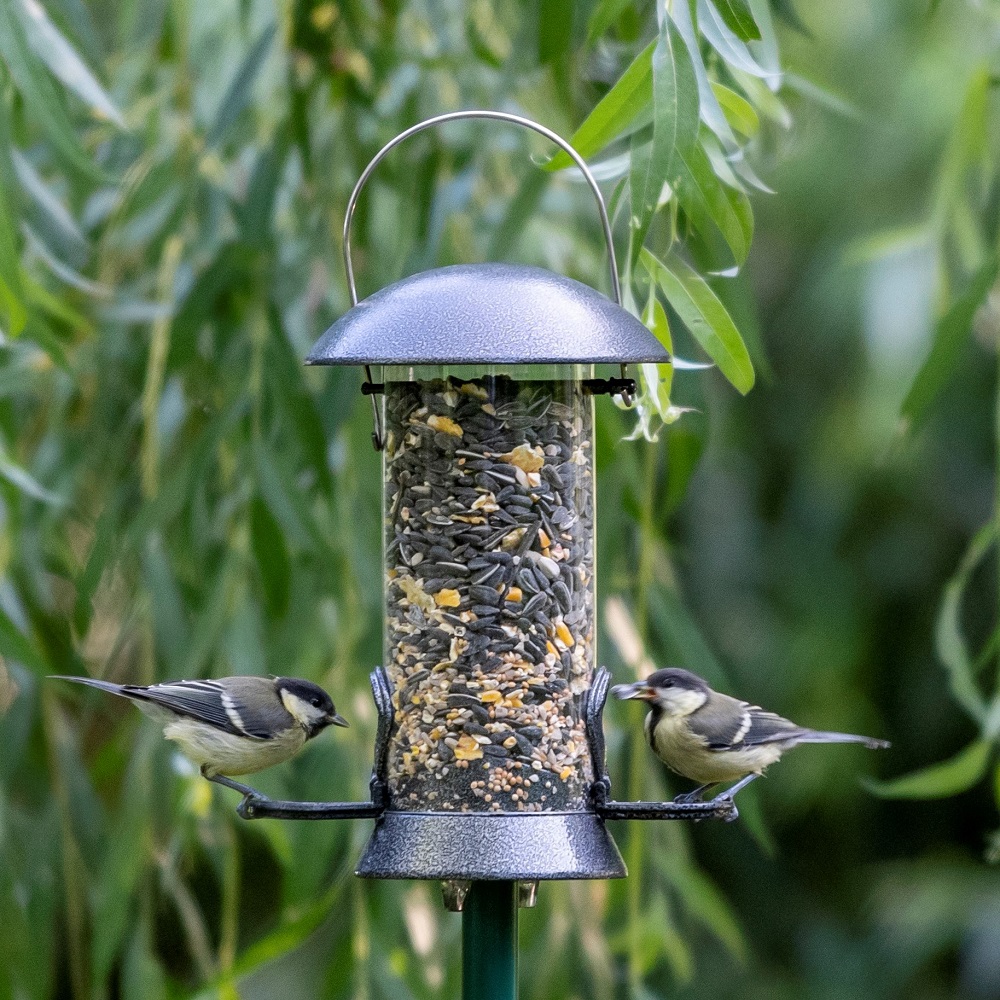 Maximum 24 - Futtersäule / Hängesilo für Vögel (24cm)