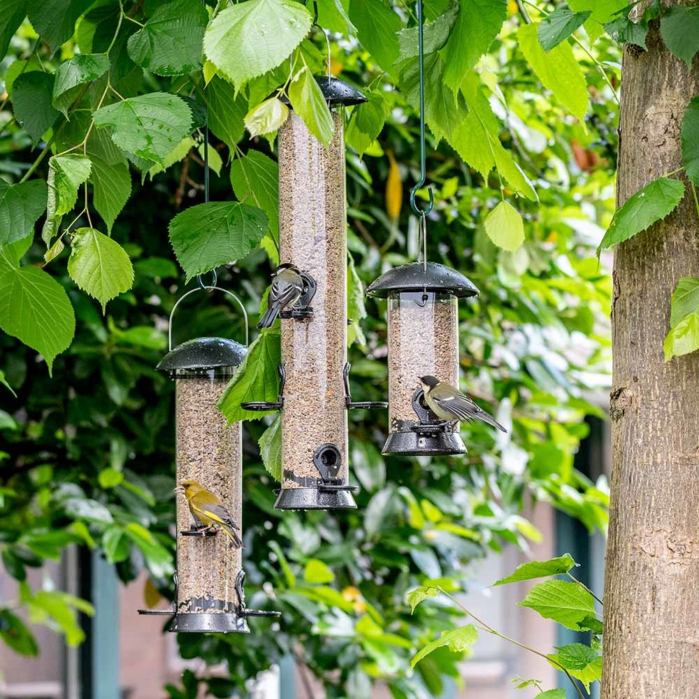 Fröautomat Adventurer 40 cm (4 öppningar)