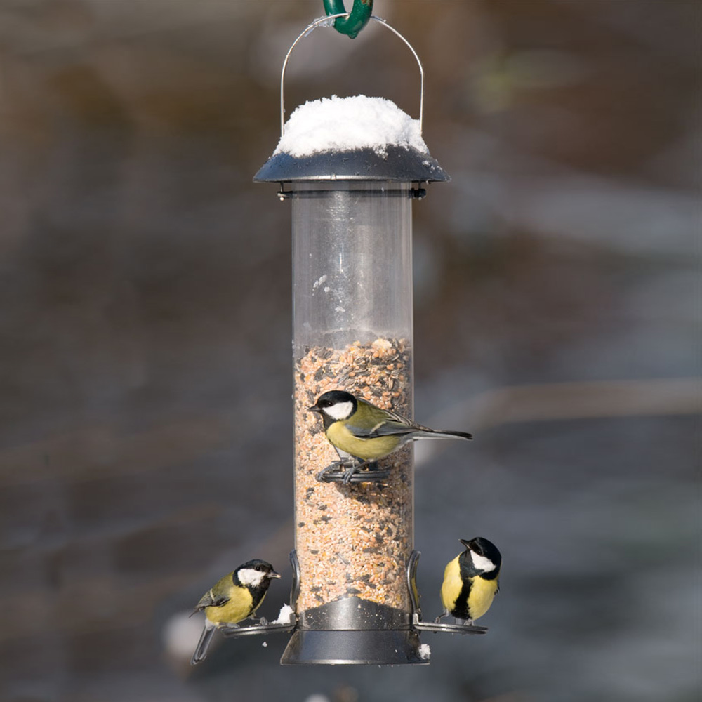 Adventurer Metal Seed Feeder