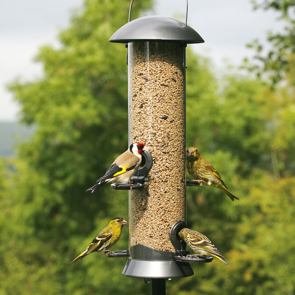 Adventurer Metal Seed Feeder