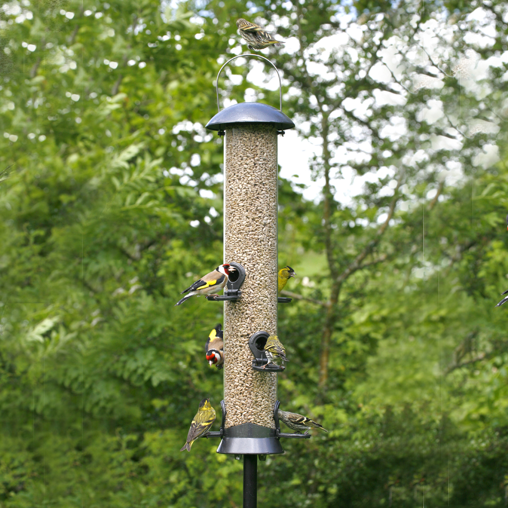 Adventurer Metal Seed Feeder